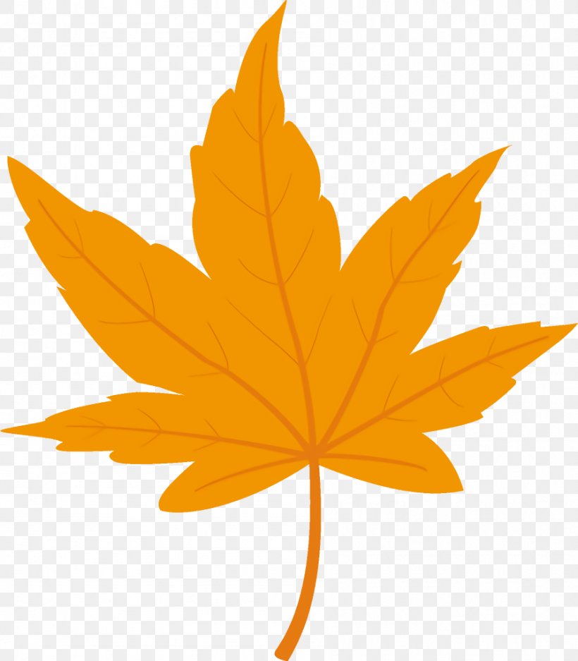 Maple Leaf Autumn Leaf Yellow Leaf, PNG, 896x1024px, Maple Leaf, Autumn Leaf, Black Maple, Leaf, Maple Download Free