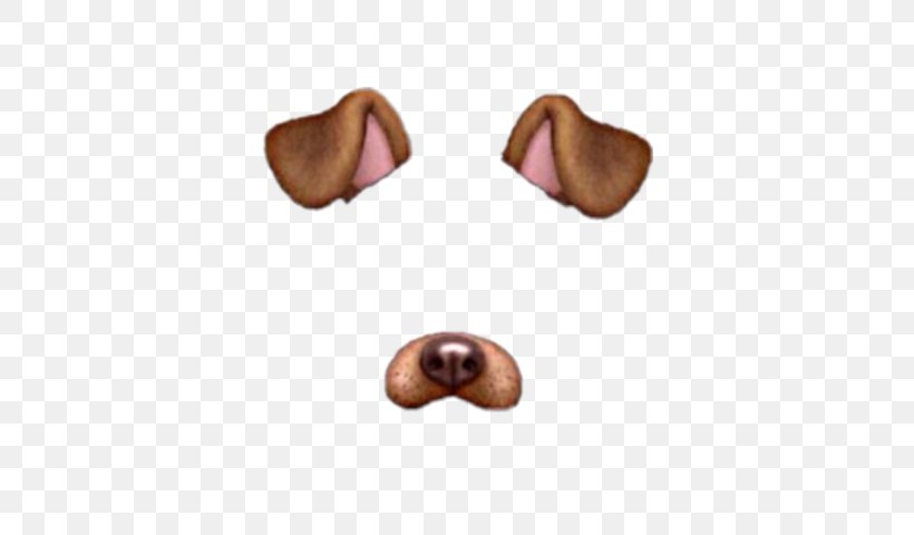 Puppy Snapchat Photographic Filter Clip Art, PNG, 480x480px, Puppy, Carnivoran, Dalmatian Dog, Dog, Dog Like Mammal Download Free