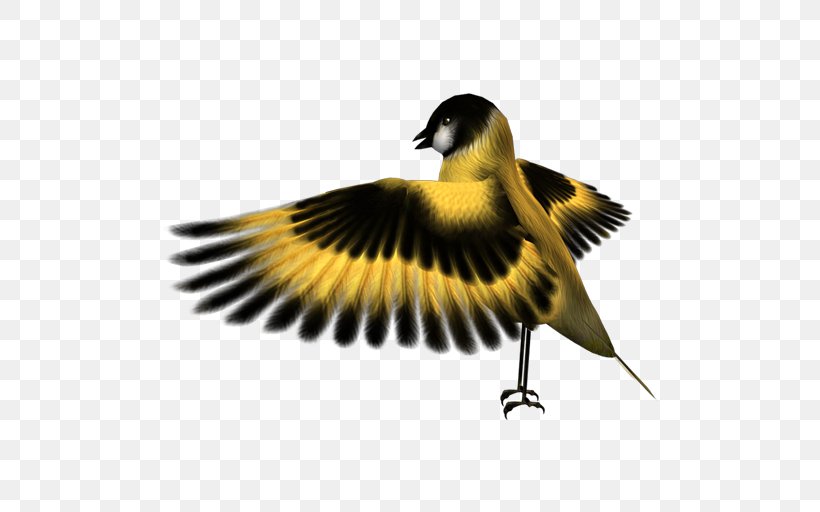 Bird Finch Common Kingfisher Falcon, PNG, 512x512px, Bird, Beak, Common Kingfisher, Desktop Environment, Duck Download Free