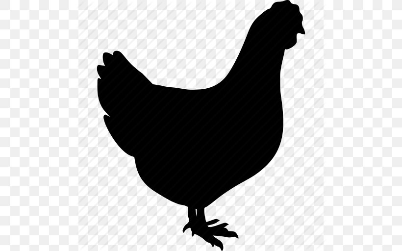 Silkie Guineafowl Chicken Meat Hen, PNG, 512x512px, Silkie, Beak, Bird, Black And White, Chicken Download Free