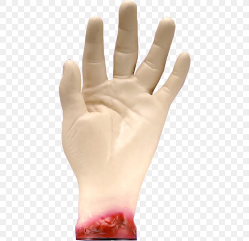 Thumb Hand Model Glove, PNG, 500x793px, Thumb, Finger, Glove, Hand, Hand Model Download Free