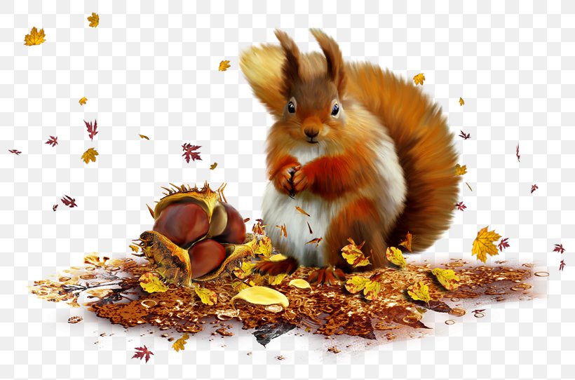 Clip Art, PNG, 800x542px, Photo Albums, Autumn, Fauna, Mammal, Organism Download Free