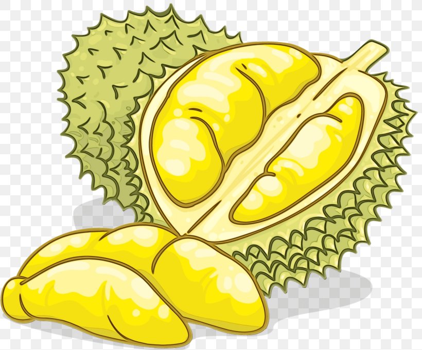 Fruit Durian Yellow Food Natural Foods, PNG, 1640x1362px, Watercolor, Artocarpus, Durian, Food, Fruit Download Free