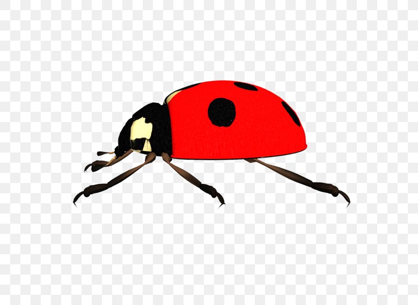 Ladybird Beetle Clip Art, PNG, 600x600px, Ladybird Beetle, Arthropod, Beetle, Image File Formats, Insect Download Free