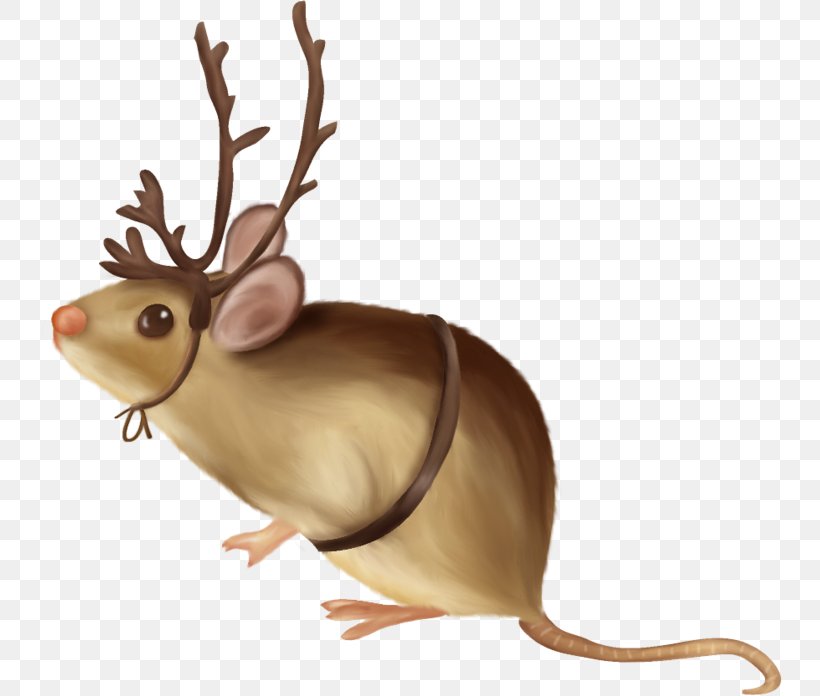 Computer Mouse Rat Rodent, PNG, 744x696px, Mouse, Animal, Computer, Computer Mouse, Deer Download Free