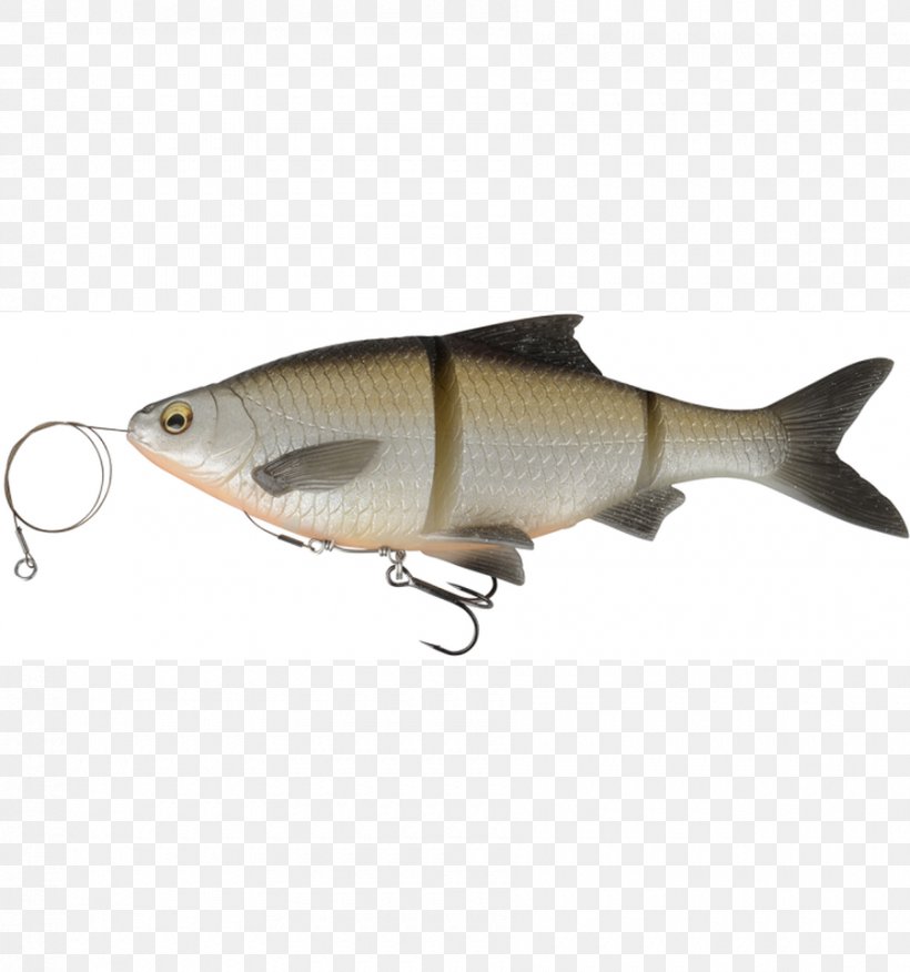 Fishing Baits & Lures Soft Plastic Bait Northern Pike, PNG, 900x962px, Fishing Baits Lures, Angling, Bait, Bony Fish, Common Roach Download Free