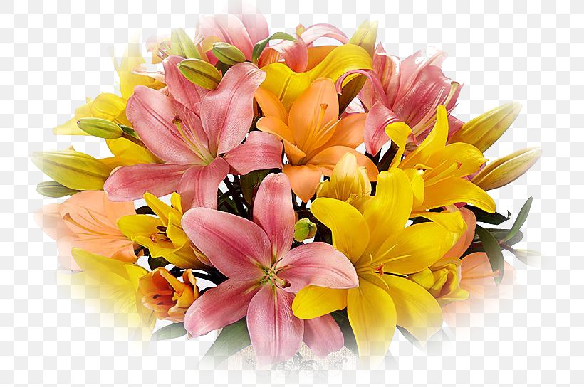 Floral Design Cut Flowers Royal Lily Flower Bouquet, PNG, 740x544px, Floral Design, Chrysanthemum, Chrysanths, Com, Cut Flowers Download Free