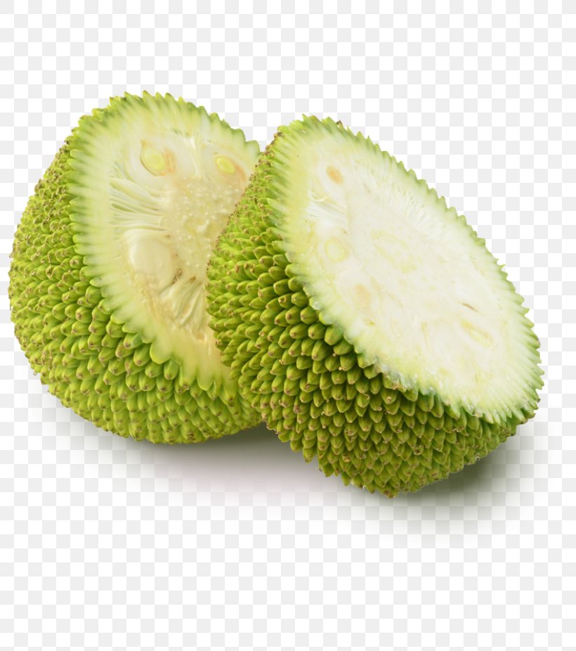 Jackfruit Mandi Se Sasta Flavor Vegetable, PNG, 800x926px, Jackfruit, Aroma Compound, Artocarpeae, Artocarpus, Cempedak Download Free