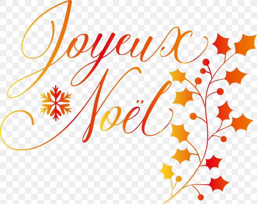 Noel Nativity Xmas, PNG, 3000x2390px, Noel, Biology, Christmas, Floral Design, Geometry Download Free