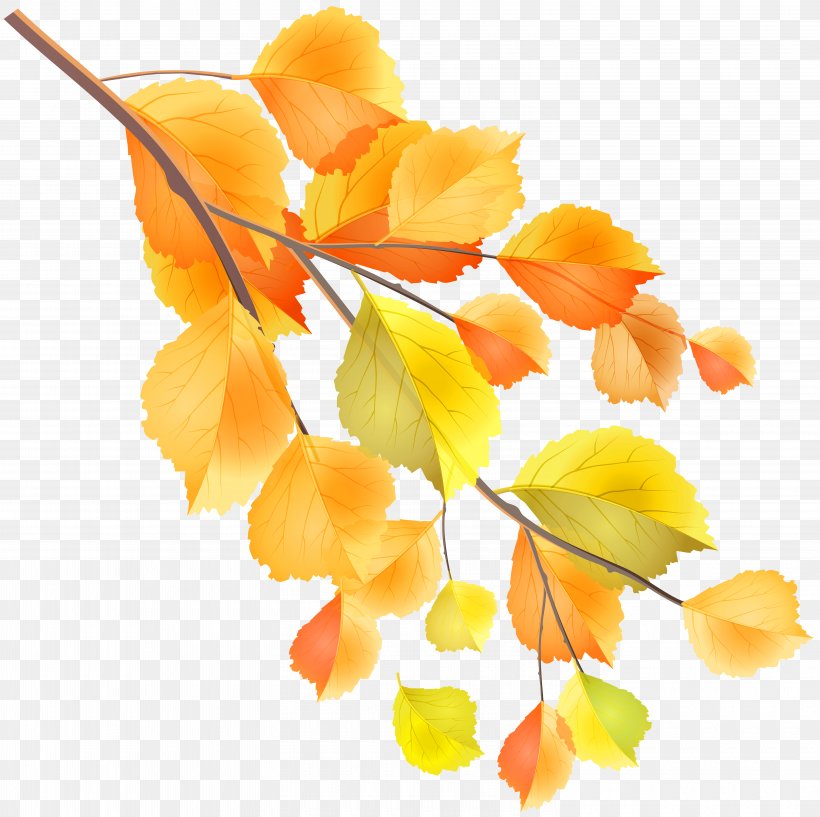 Autumn Leaf Clip Art, PNG, 6000x5980px, Autumn, Blog, Branch, Flower, Leaf Download Free