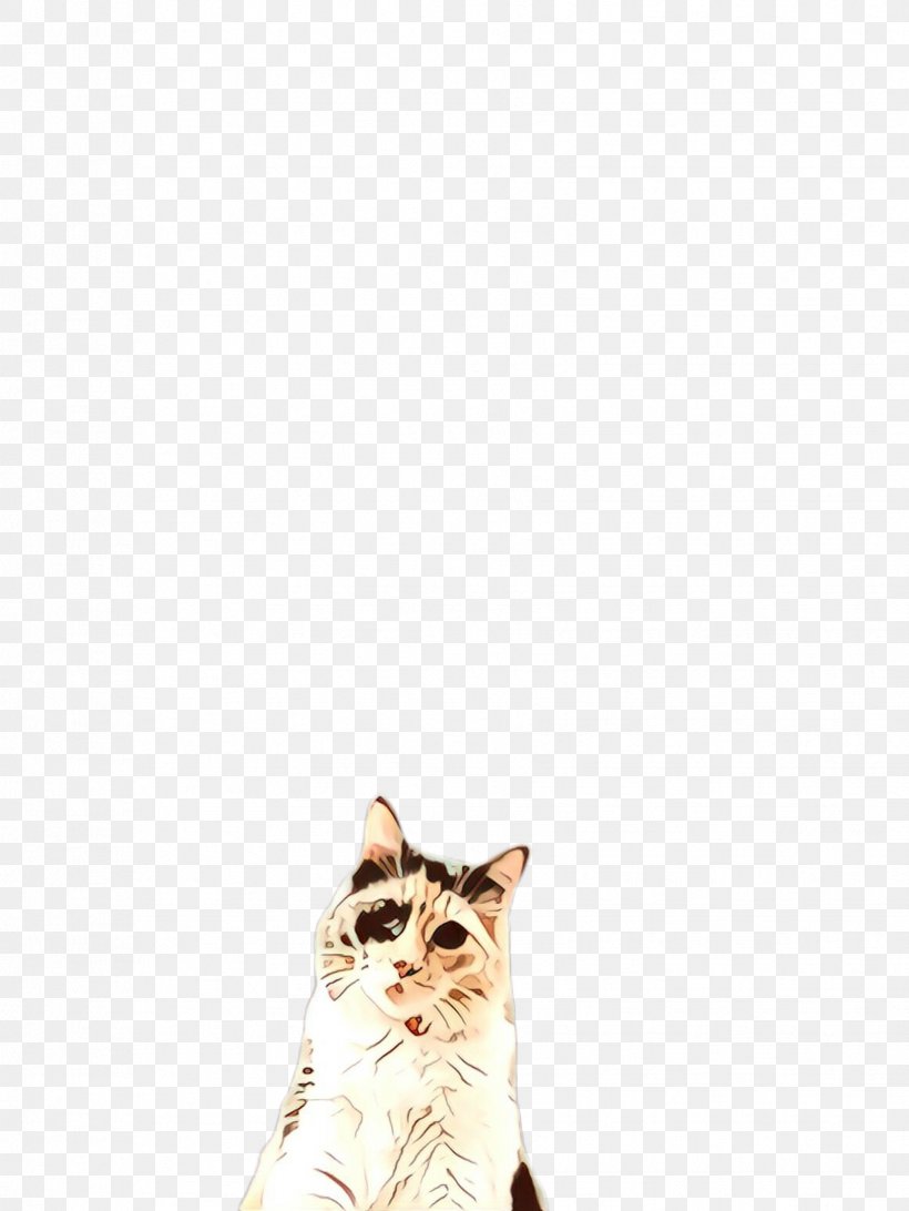 Cat Small To Medium-sized Cats White Whiskers American Wirehair, PNG, 1732x2307px, Cartoon, Aegean Cat, American Wirehair, Cat, European Shorthair Download Free