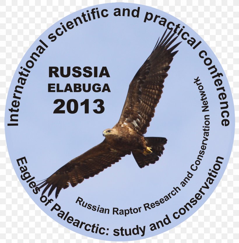 Golden Eagle Palearctic Realm Falconry Altai Krai, PNG, 1000x1016px, Eagle, Accipitriformes, Altai Krai, Beak, Bird Download Free
