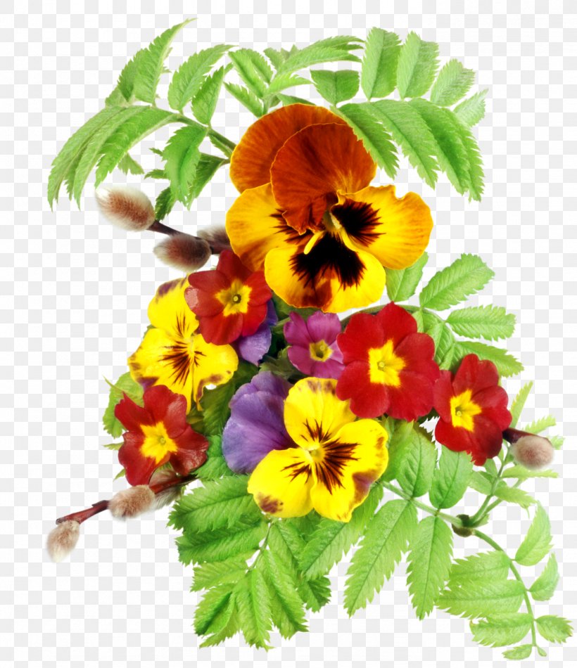 Pansy, PNG, 1381x1600px, Smile, Annual Plant, Computer Monitors, Flower, Flowering Plant Download Free