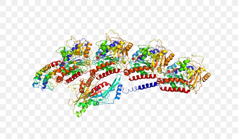 Tubulin, Beta 2b Protein Ankyrin Repeat TUBA1B, PNG, 640x480px, Watercolor, Cartoon, Flower, Frame, Heart Download Free