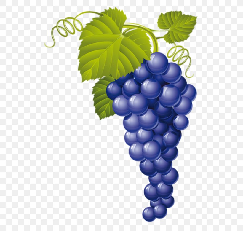 Common Grape Vine Red Wine, PNG, 550x779px, Common Grape Vine, Bilberry, Flowering Plant, Food, Fruit Download Free