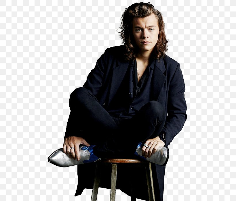 Harry Styles One Direction Made In The A.M. Harry Potter Sign Of The Times, PNG, 500x700px, Watercolor, Cartoon, Flower, Frame, Heart Download Free