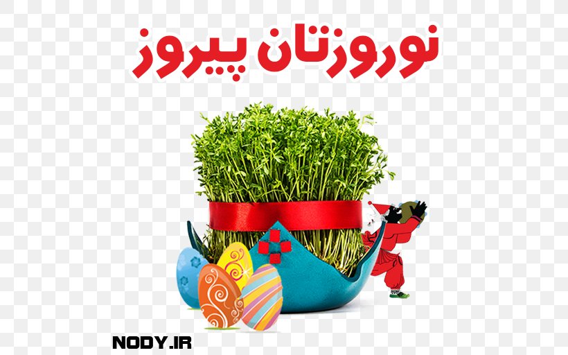 Iran Film Television IRIB TV1 Download, PNG, 512x512px, Iran, Film, Film Director, Flowerpot, Grass Download Free