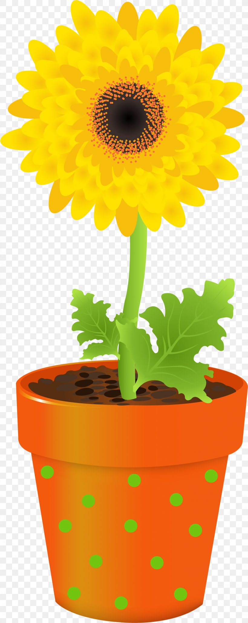 Marigold Flower, PNG, 1412x3542px, Common Sunflower, Daisy Family, English Marigold, Flower, Flowerpot Download Free