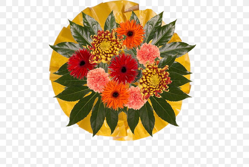Transvaal Daisy Floral Design Flower Bouquet Cut Flowers, PNG, 550x550px, Transvaal Daisy, Alstroemeriaceae, Annual Plant, Bride, Cut Flowers Download Free