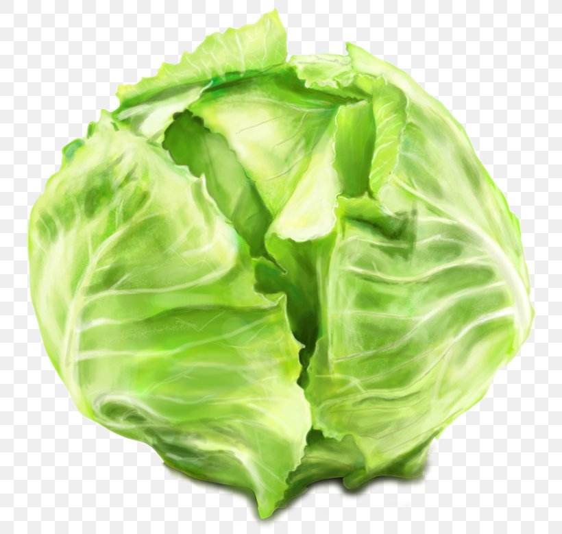Leaf Vegetable Savoy Cabbage Collard Greens, PNG, 770x779px, Leaf Vegetable, Brassica Oleracea, Cabbage, Cabbage Family, Collard Greens Download Free