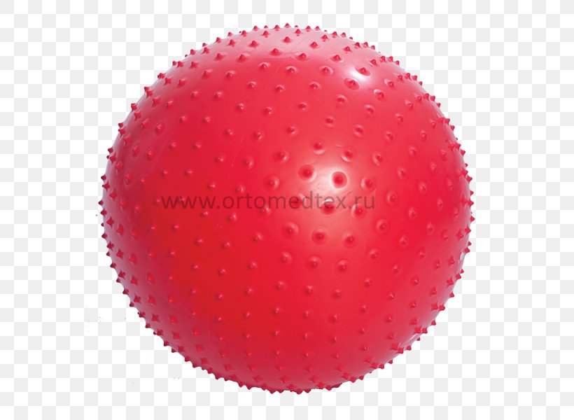 Exercise Balls Gymnastics Fitness Centre Physical Fitness, PNG, 600x600px, Exercise Balls, Artikel, Ball, Exercise, Exercise Equipment Download Free