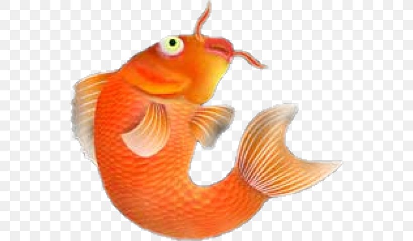 Fish April Fool's Day Humour, PNG, 544x480px, 2017, Fish, April, Com, Email Attachment Download Free
