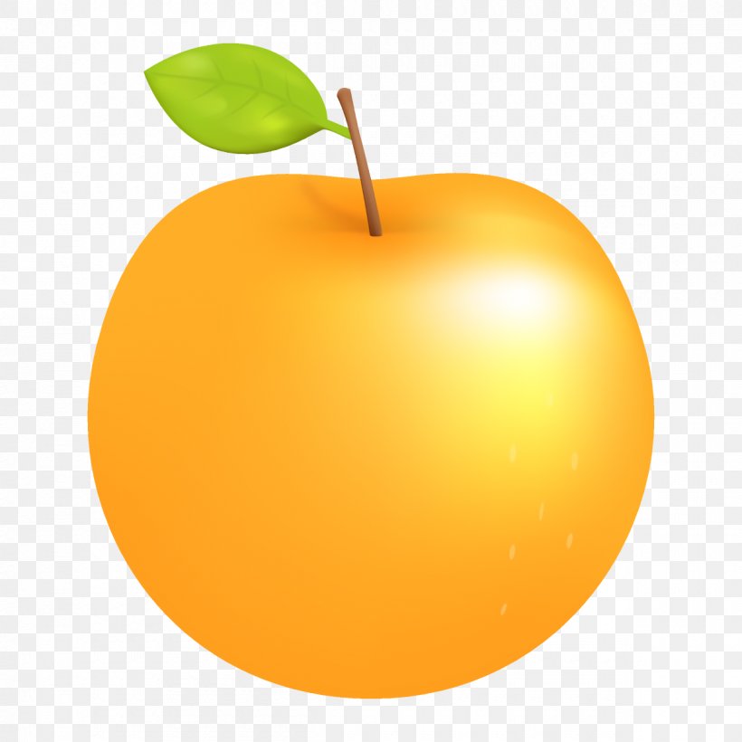 Orange, PNG, 1200x1200px, Fruit, Apple, Food, Leaf, Orange Download Free
