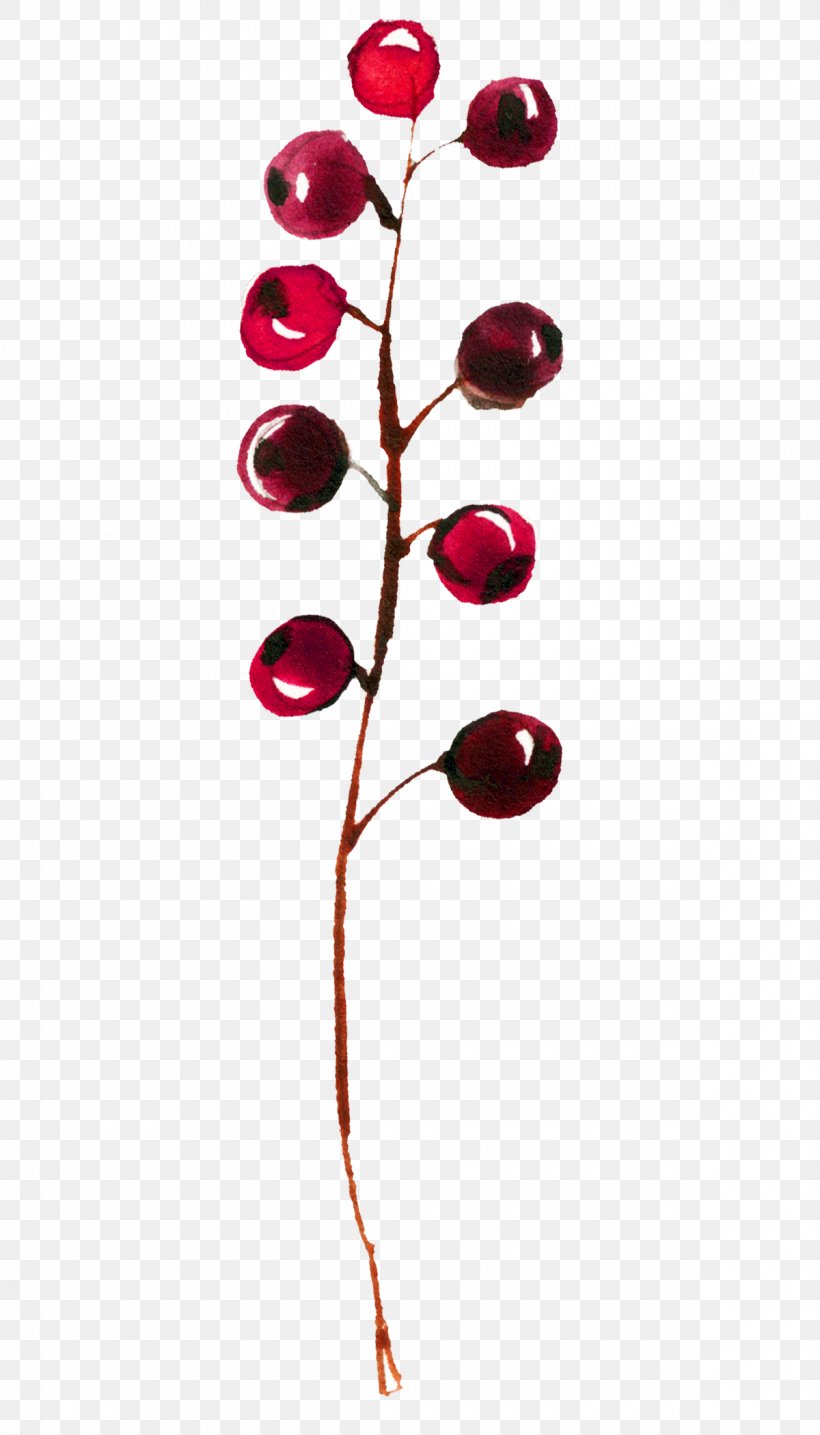 Red Tree, PNG, 1200x2100px, Red, Berry, Branch, Cnki, Currant Download Free