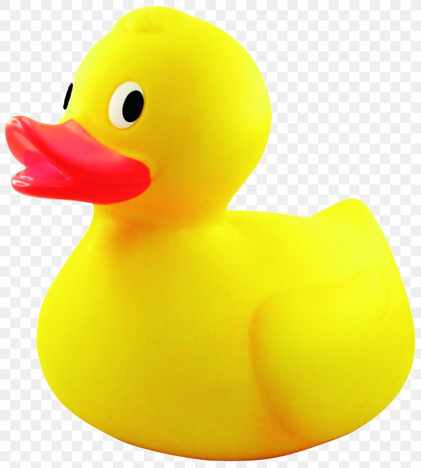 Rubber Duck Clip Art, PNG, 1590x1772px, Duck, Baths, Beak, Bird, Ducks Geese And Swans Download Free