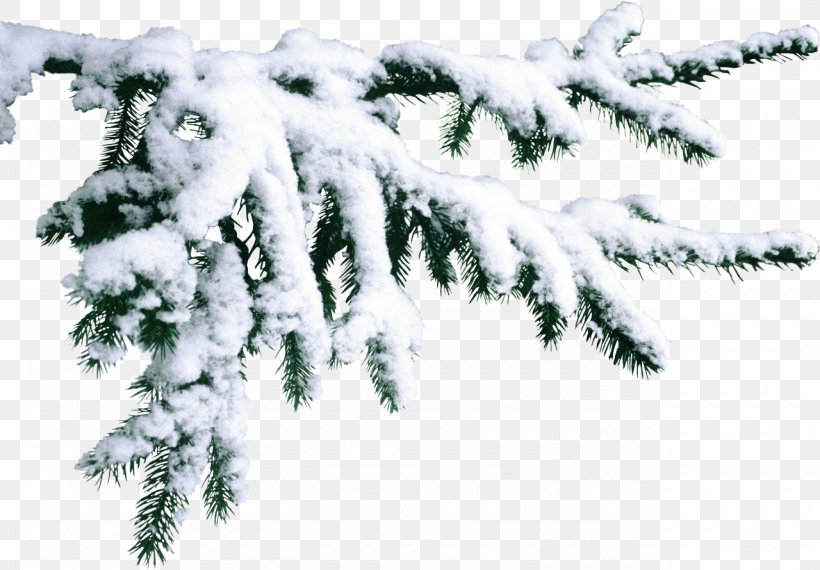 Saint-Gervais-les-Bains Snow Winter, PNG, 1280x890px, Saintgervaislesbains, Branch, Christmas, Conifer, December Download Free