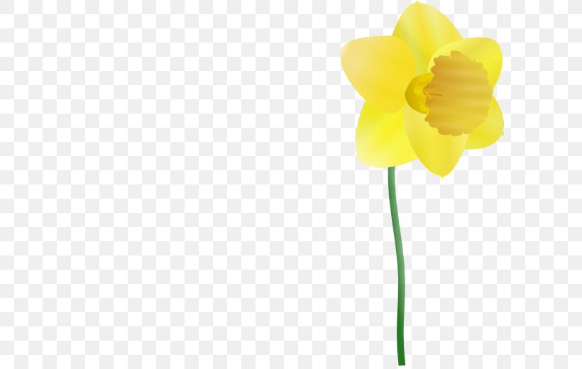 Daffodil Free Content Clip Art, PNG, 600x520px, Daffodil, Amaryllis Family, Blog, Cut Flowers, Drawing Download Free