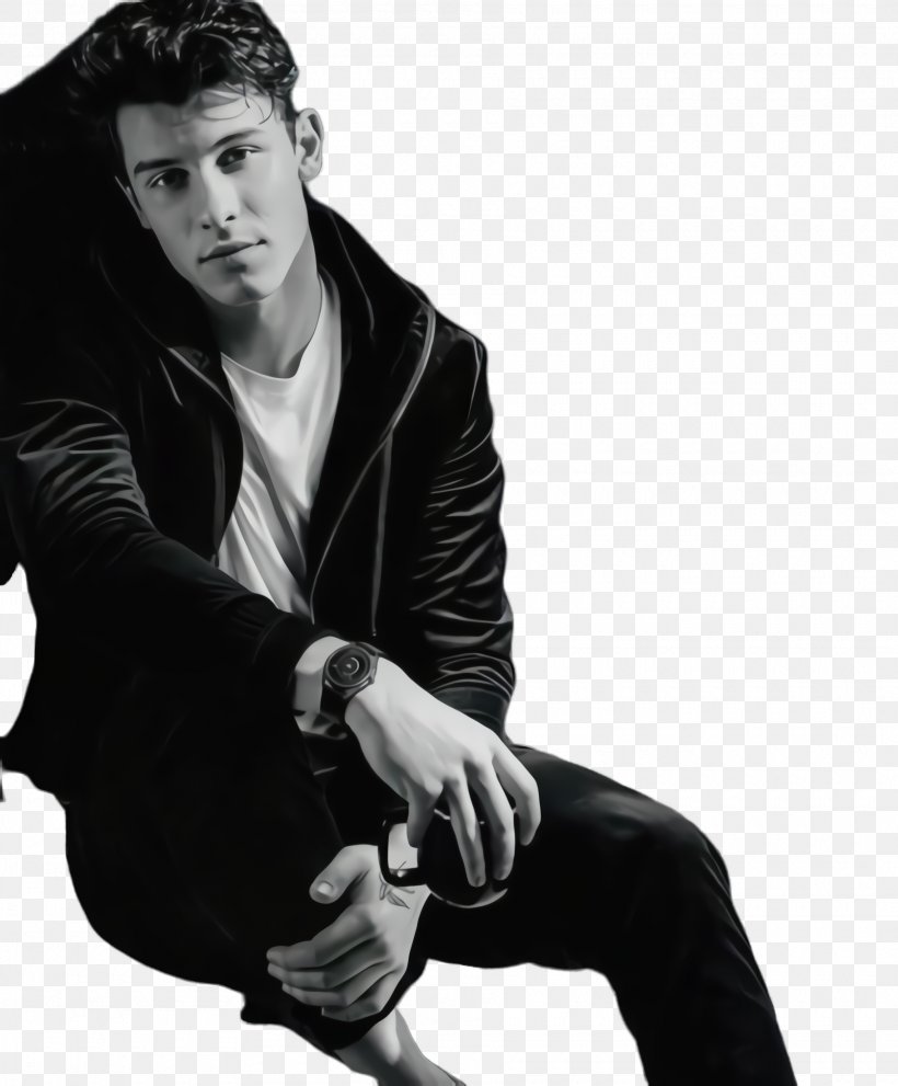 Hair Style, PNG, 1820x2200px, Shawn Mendes, Black Hair, Blackandwhite, Cool, Dance Download Free
