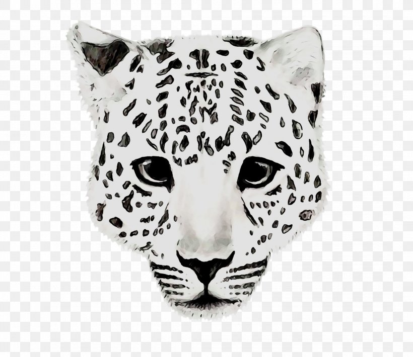 Leopard Jaguar Tiger Cheetah Whiskers, PNG, 2160x1872px, Leopard, African Leopard, Animal Figure, Big Cats, Blackandwhite Download Free