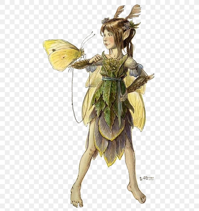 The Field Guide The Spiderwick Chronicles: Lucinda's Secret Fairy Elf, PNG, 564x871px, Field Guide, Art, Artist, Costume Design, Drawing Download Free