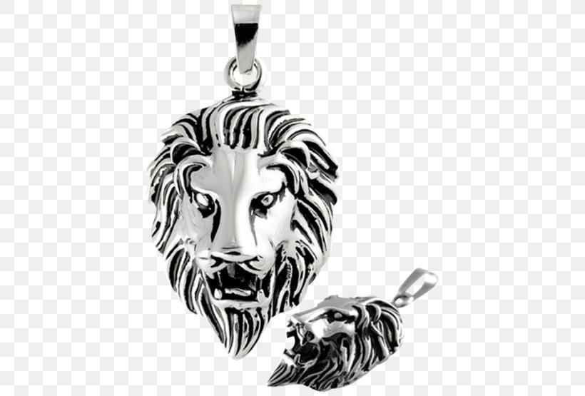 Charms & Pendants Jewellery Stainless Steel Silver, PNG, 555x555px, Charms Pendants, Big Cats, Black And White, Body Jewelry, Carnivoran Download Free