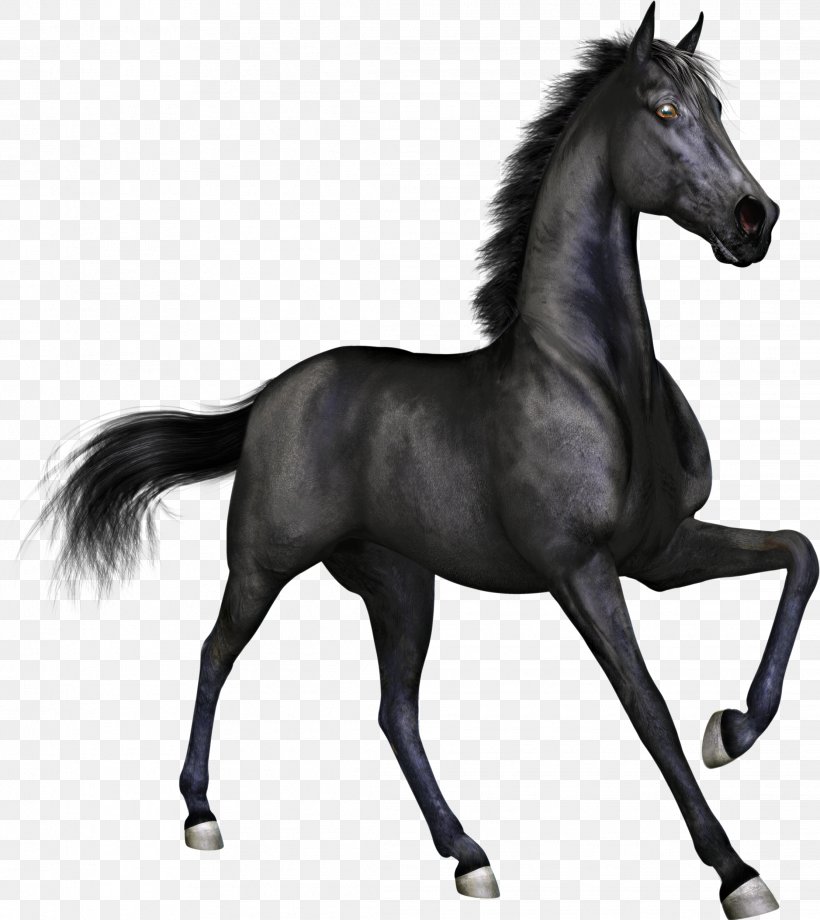 Horse Stallion Mare Black Clip Art, PNG, 2223x2495px, Horse, Bit, Black, Black And White, Bridle Download Free
