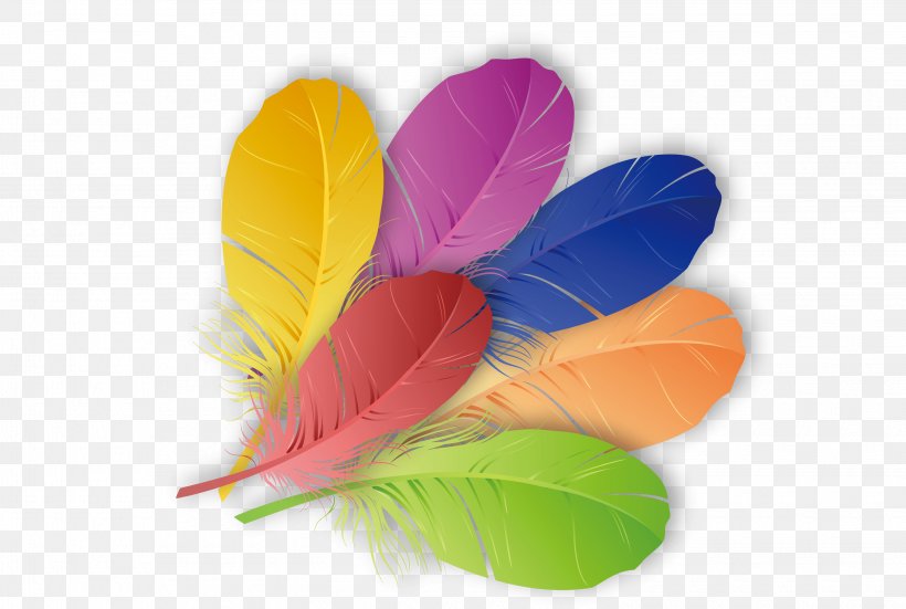 The Floating Feather Color, PNG, 3050x2050px, Floating Feather, Color, Feather, Leaf, Material Download Free