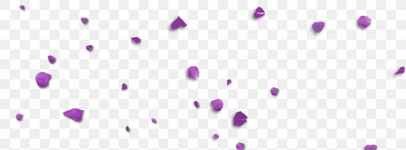 Violet Blue Purple Lilac Magenta, PNG, 2048x758px, Violet, Beauty, Blue, Close Up, Closeup Download Free