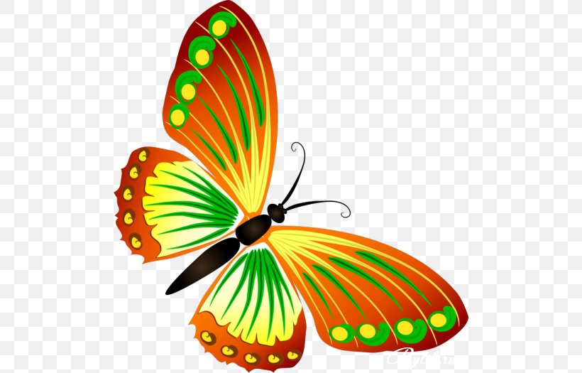 Butterfly Insect Biology Clip Art, PNG, 500x525px, Butterfly, Biology, Brush Footed Butterfly, Butterflies And Moths, Drawing Download Free