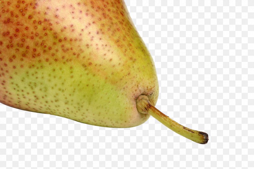 European Pear Asian Pear Fruit Auglis, PNG, 1200x800px, European Pear, Asian Pear, Auglis, Common Fig, Food Download Free