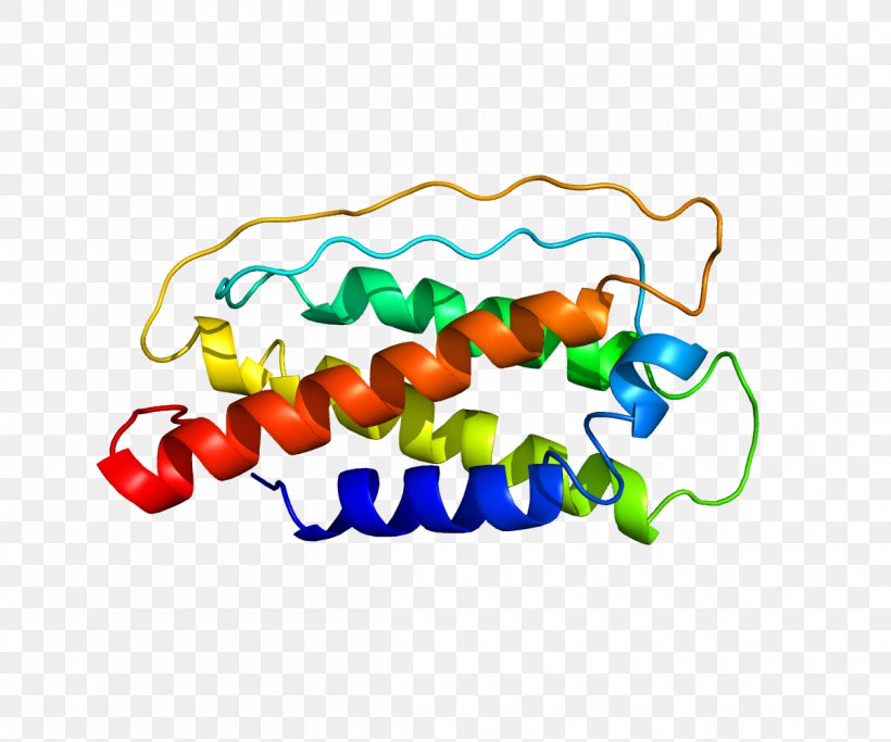 Interleukin 7 Cytokine Interleukin-2 Stroma, PNG, 1200x1000px, Watercolor, Cartoon, Flower, Frame, Heart Download Free