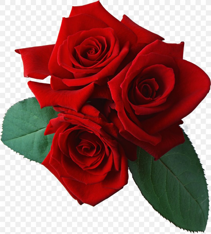 Clip Art Rose Transparency Image, PNG, 1156x1280px, Rose, Artificial Flower, Black Rose, Bouquet, Cut Flowers Download Free