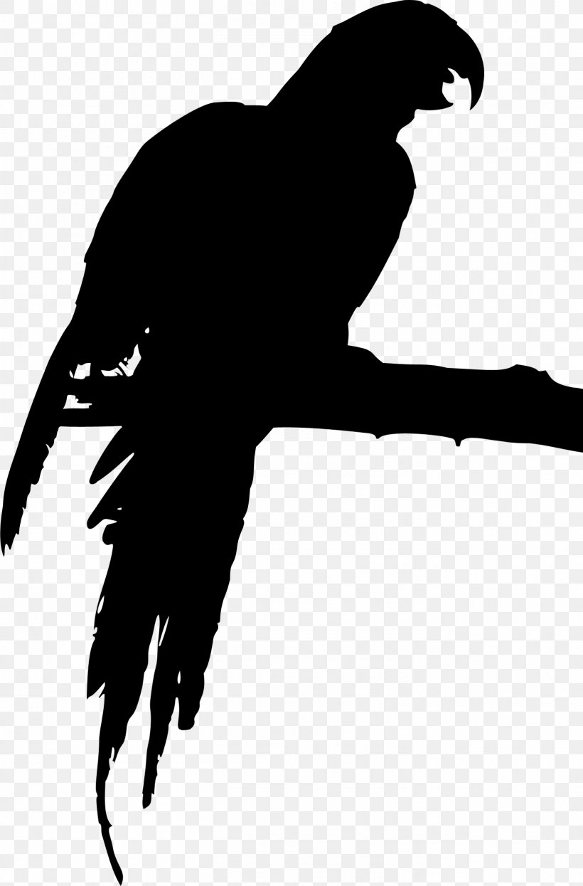 Skonto Hall Beak Bird Of Prey Clip Art, PNG, 1405x2134px, Skonto Hall, Animal, April 5, Beak, Bird Download Free