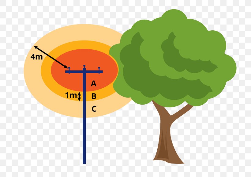 Tree Zone Diagram Clip Art, PNG, 800x577px, Tree, Color, Diagram, Electric Potential Difference, Electric Power Distribution Download Free