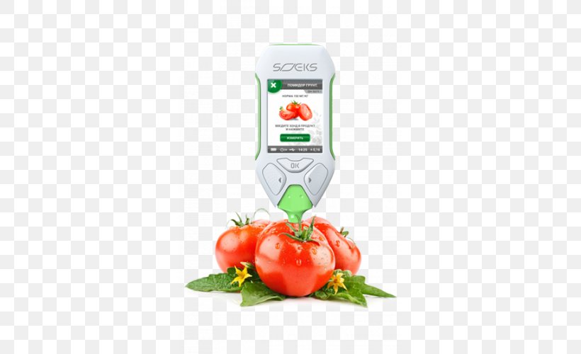 Vegetable Cocona Food Potato Seed, PNG, 500x500px, Vegetable, Bell Pepper, Cherry Tomato, Chili Pepper, Cocona Download Free