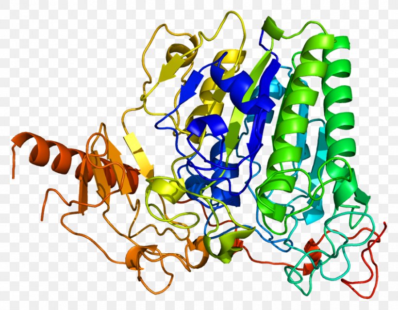 Arylsulfatase A Arylsulfatase B Enzyme, PNG, 918x716px, Arylsulfatase, Art, Artwork, Aryl, Cerebroside Download Free
