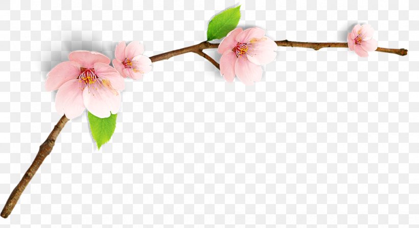Cherry Blossom Watercolor Painting Image RGB Color Model, PNG, 1017x555px, Cherry Blossom, Blossom, Branch, Bud, Cherries Download Free
