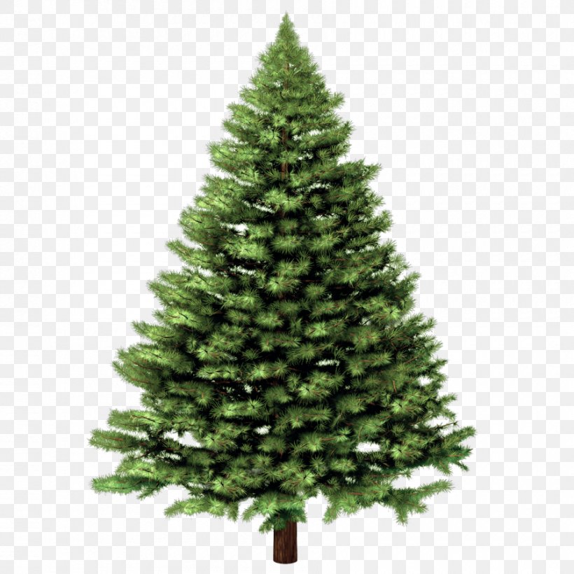 Christmas Tree Santa Claus, PNG, 900x900px, Christmas Tree, Artificial Christmas Tree, Christmas, Christmas And Holiday Season, Christmas Card Download Free