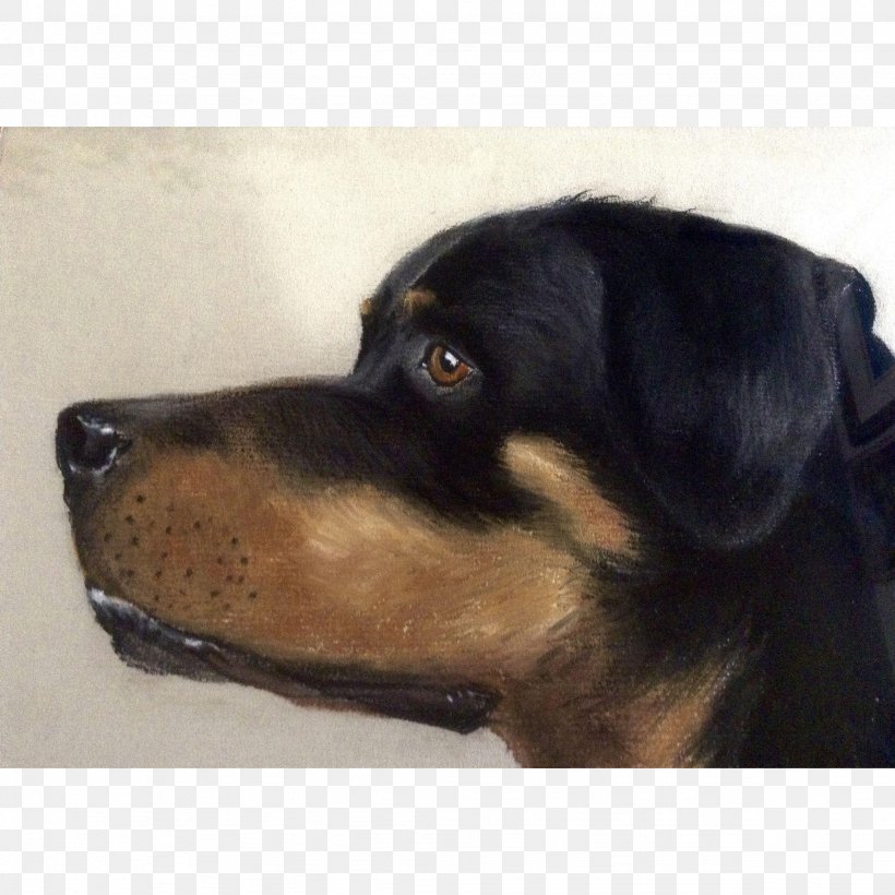Rottweiler Austrian Black And Tan Hound Huntaway Puppy Dog Breed, PNG, 2048x2048px, Rottweiler, Austrian Black And Tan Hound, Black And Tan Coonhound, Breed, Carnivoran Download Free