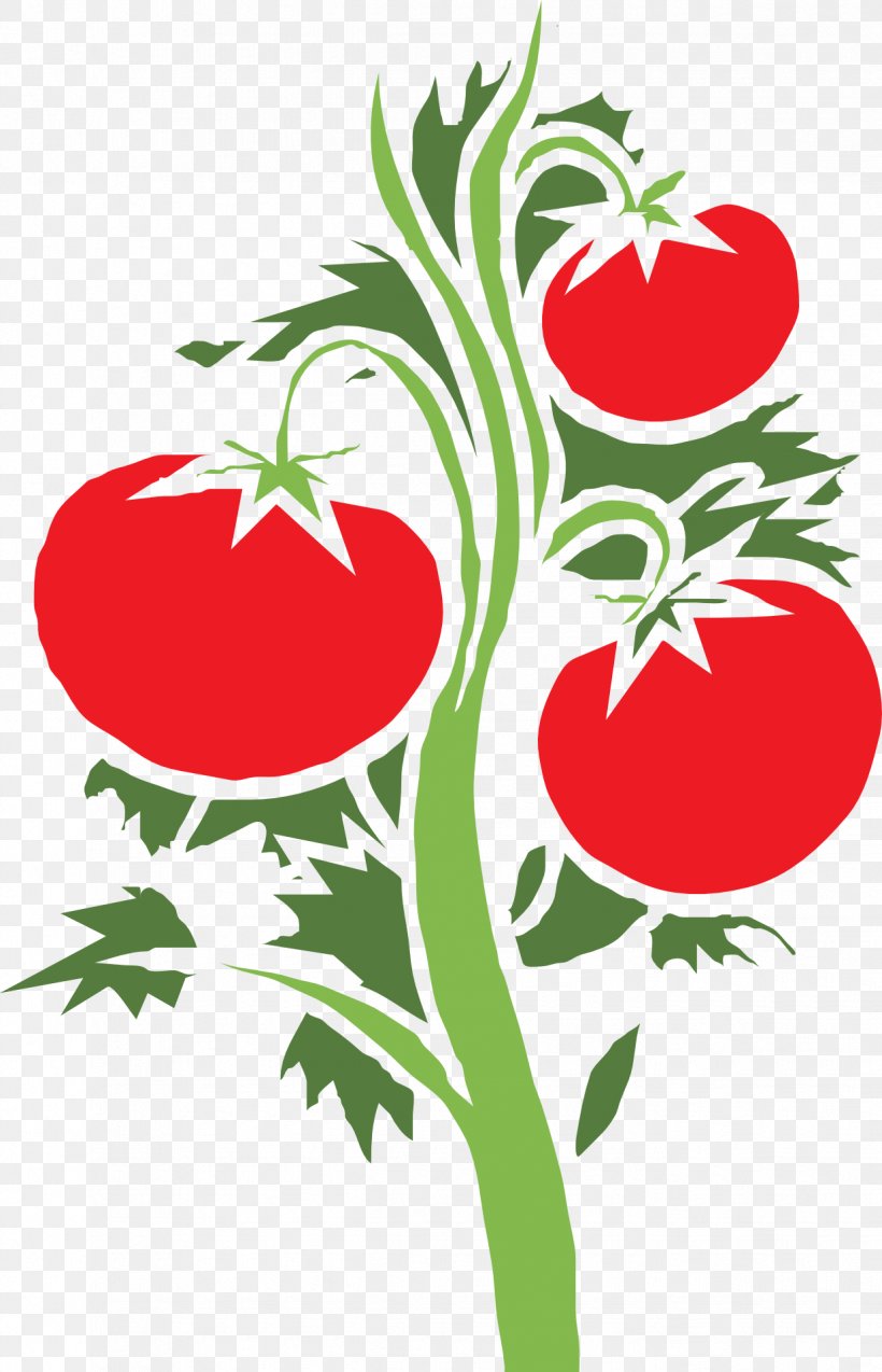 Cherry Tomato Plant Clip Art, PNG, 1235x1920px, Cherry Tomato, Artwork, Bell Pepper, Branch, Flower Download Free
